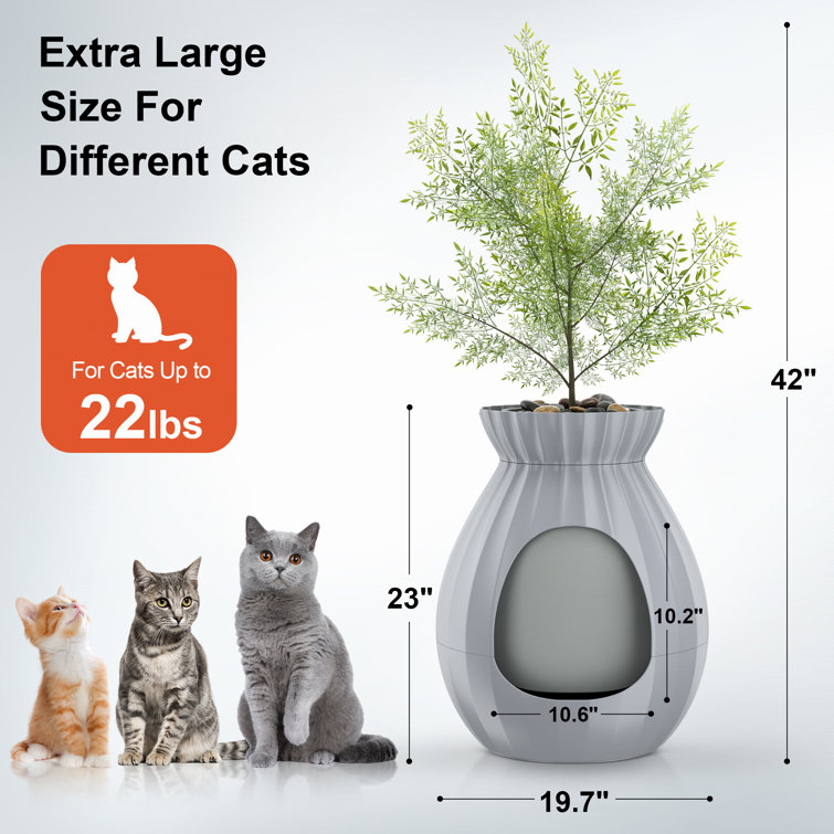 Plant litter box outlet for cats